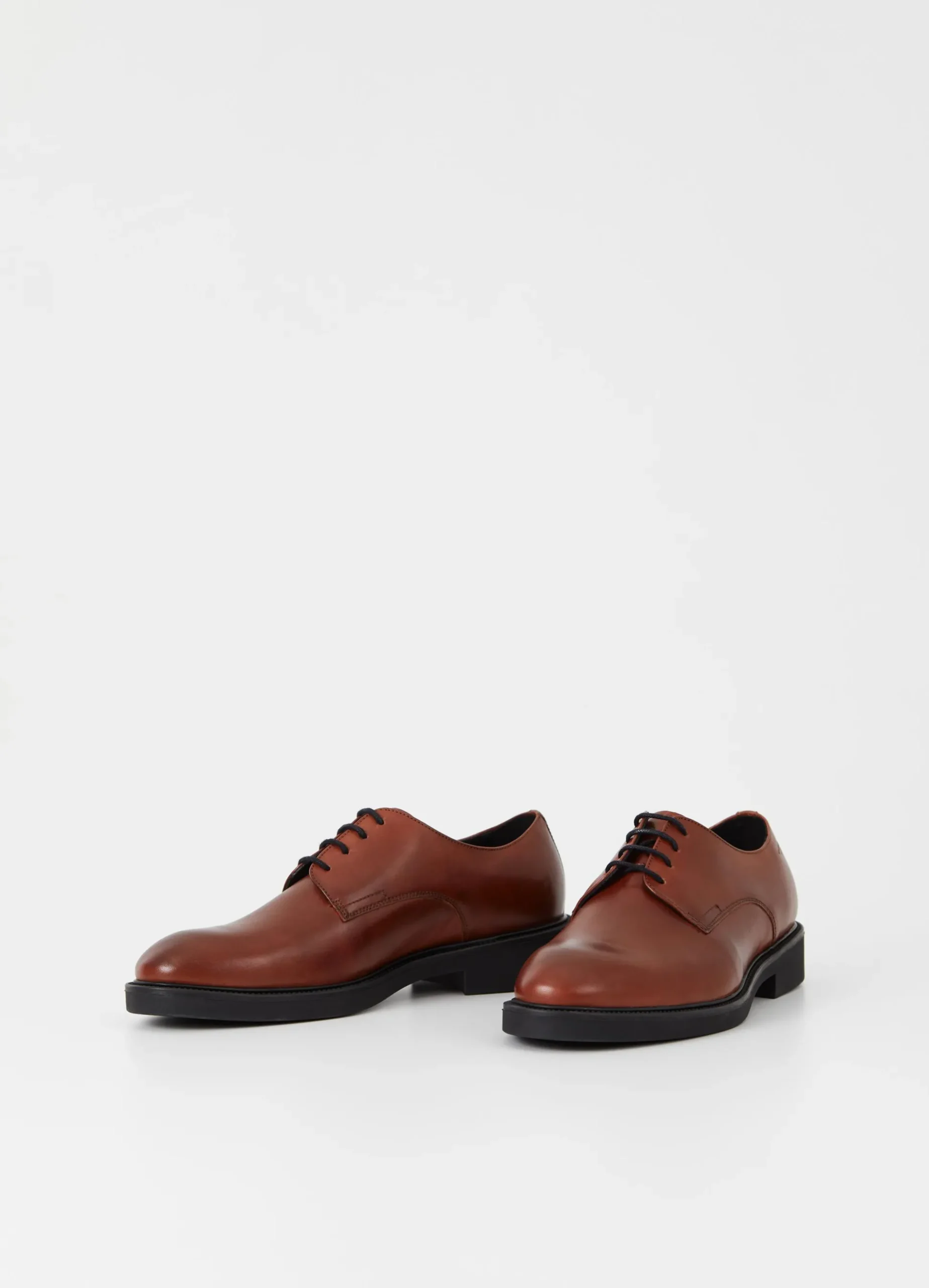 ALEX M SCHOENEN