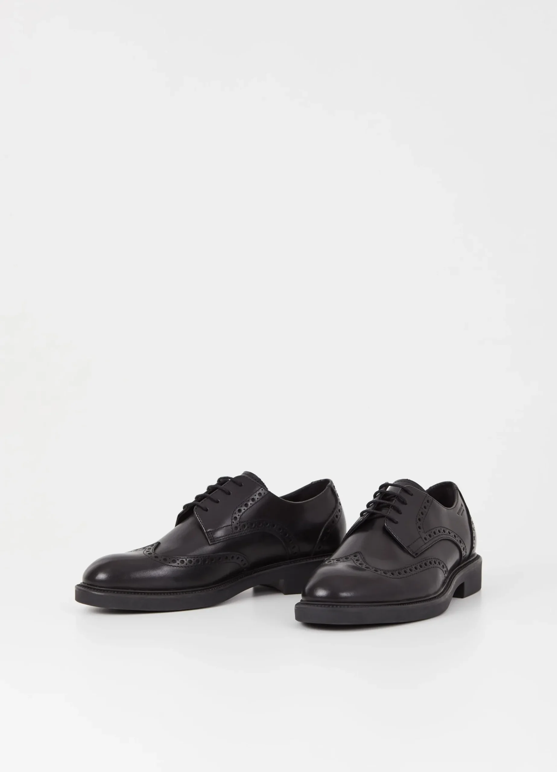 ALEX M SCHOENEN