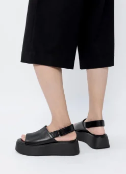 COURTNEY SANDALEN