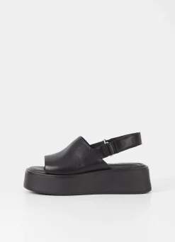 COURTNEY SANDALEN