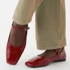 DELIA SCHOENEN