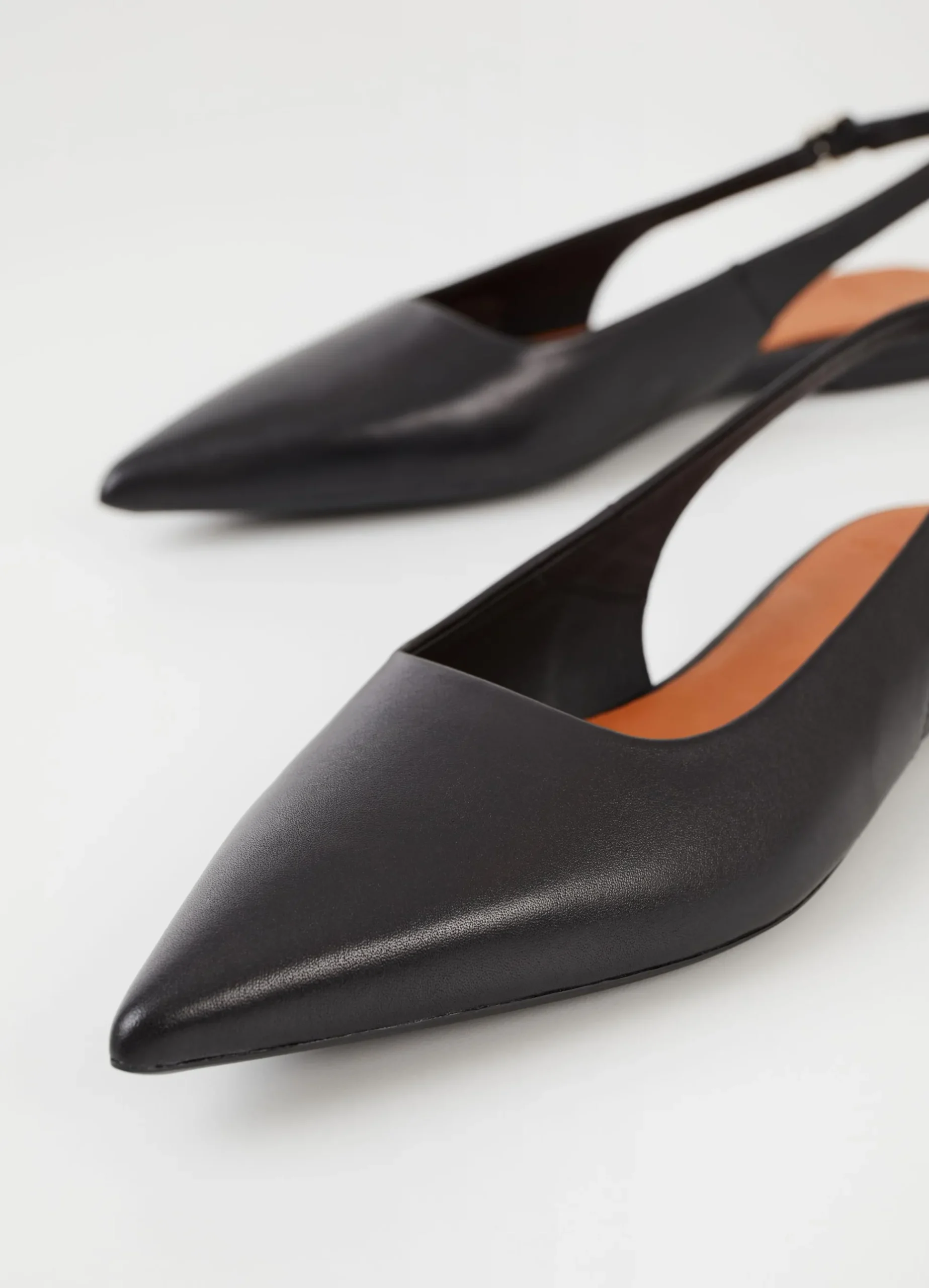 HERMINE SCHOENEN